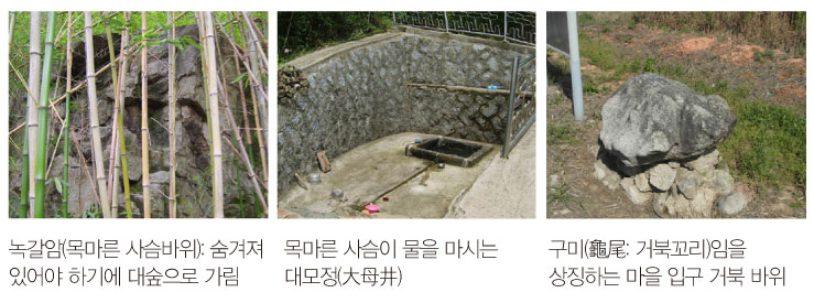 녹갈암(목마른 사슴바위): 숨겨져 있어야 하기에 대숲으로 가림/목마른 사슴이 물을 마시는 대모정(大母井)/구미(龜尾: 거북꼬리)임을 상징하는 마을 입구 거북 바위