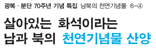 광복·분단 70주년 기념 특집 남북의 천연기념물 6-④ 살아있는 화석이라는 남과 북의 천연기념물 산양