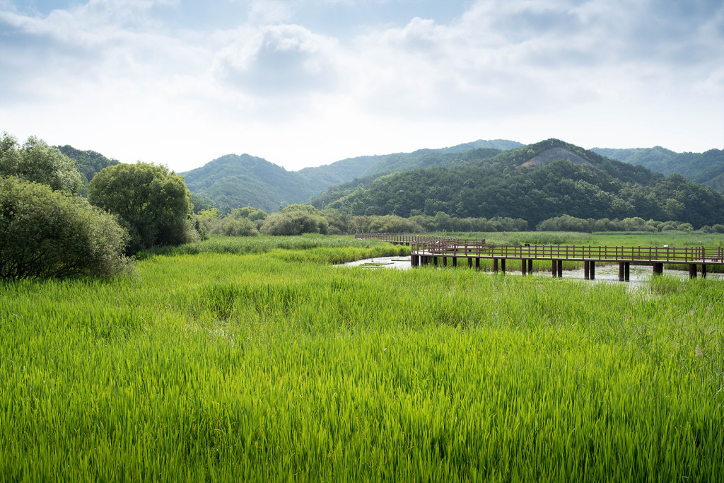 정양늪 생태공원 사진2