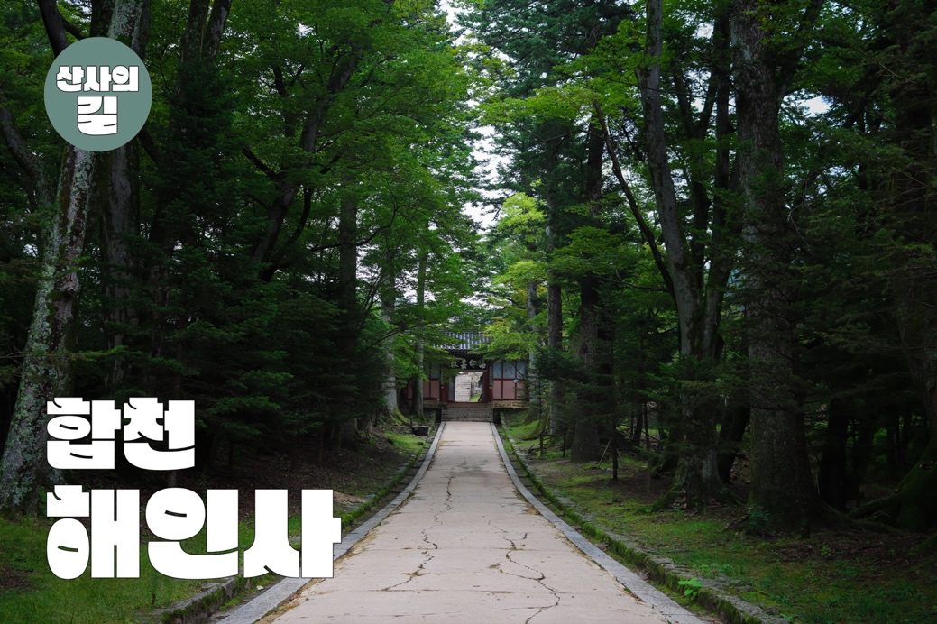 산사의 길 - 합천 해인사