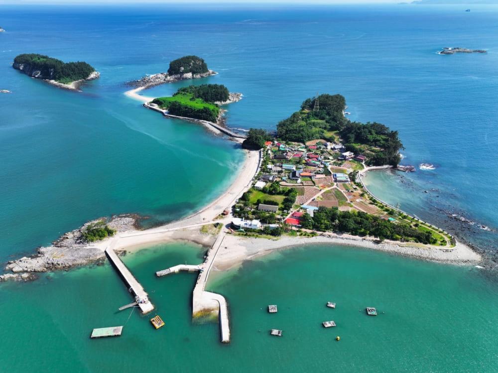 A Mystical Island Once Home to Herds of Ornithopod Dinosaurs1
