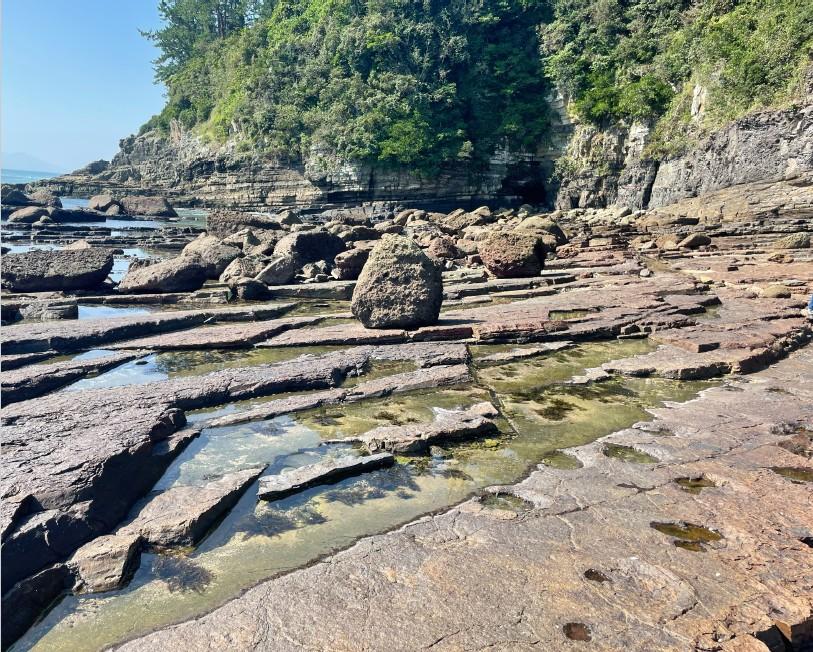 A Mystical Island Once Home to Herds of Ornithopod Dinosaurs2