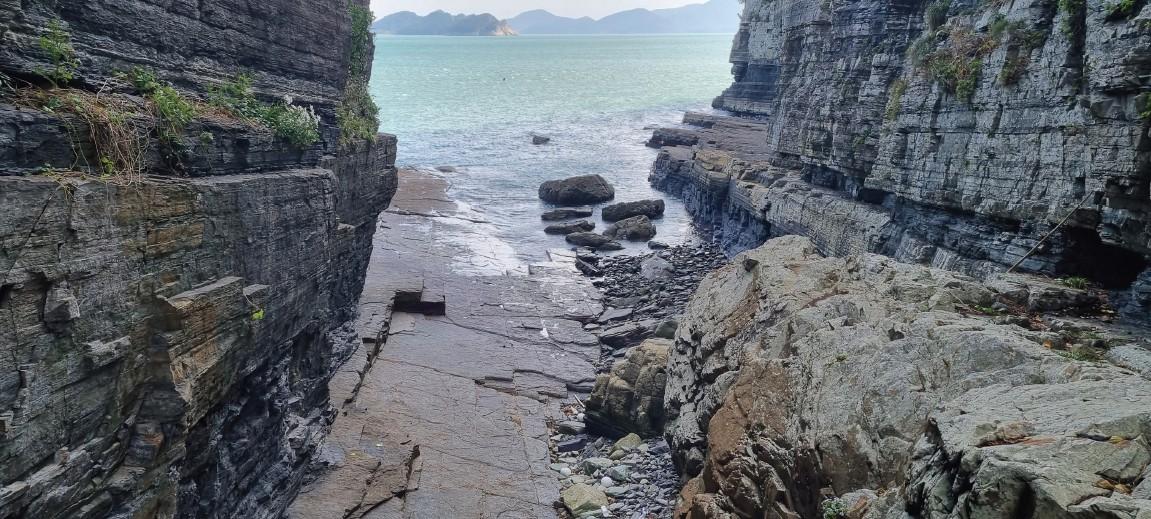 A Mystical Island Once Home to Herds of Ornithopod Dinosaurs7