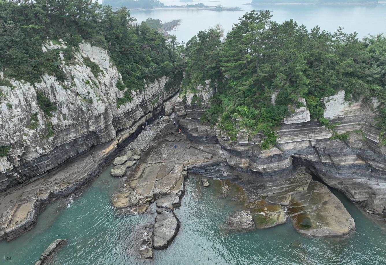 A Mystical Island Once Home to Herds of Ornithopod Dinosaurs8