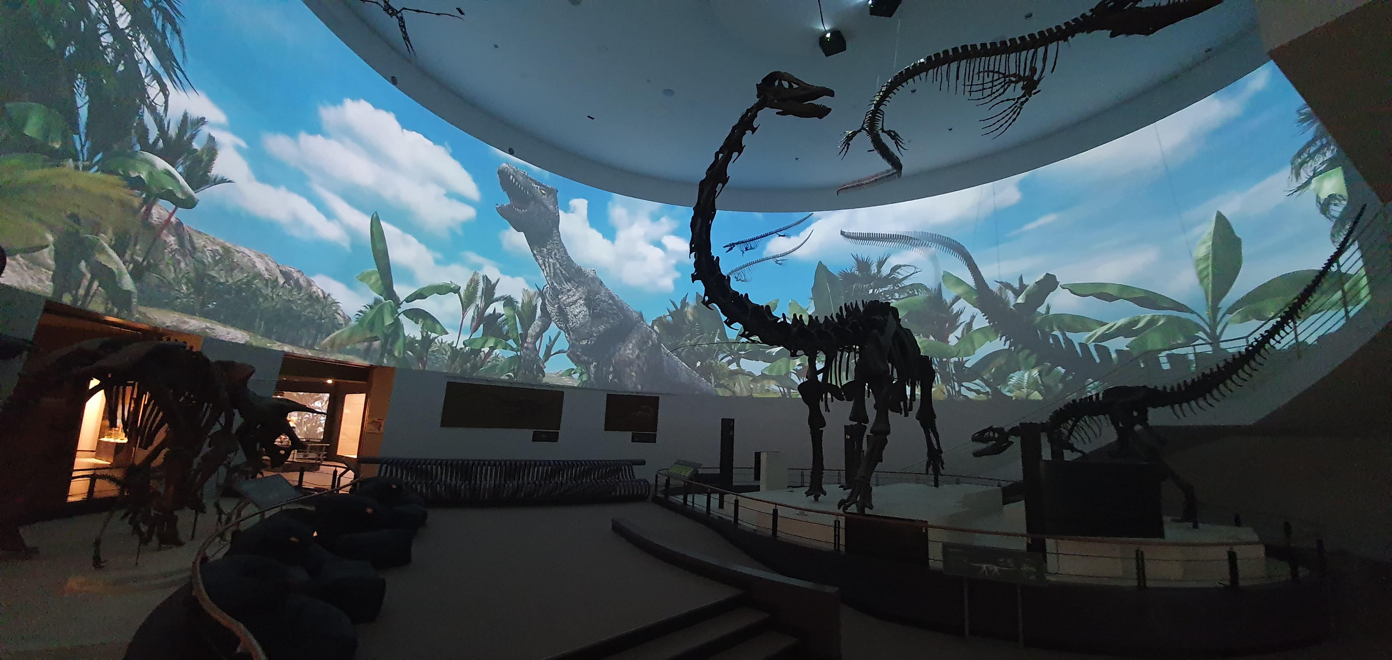 Exploring Earth&rsquo;s History Beginning with Dinosaur Eggs1