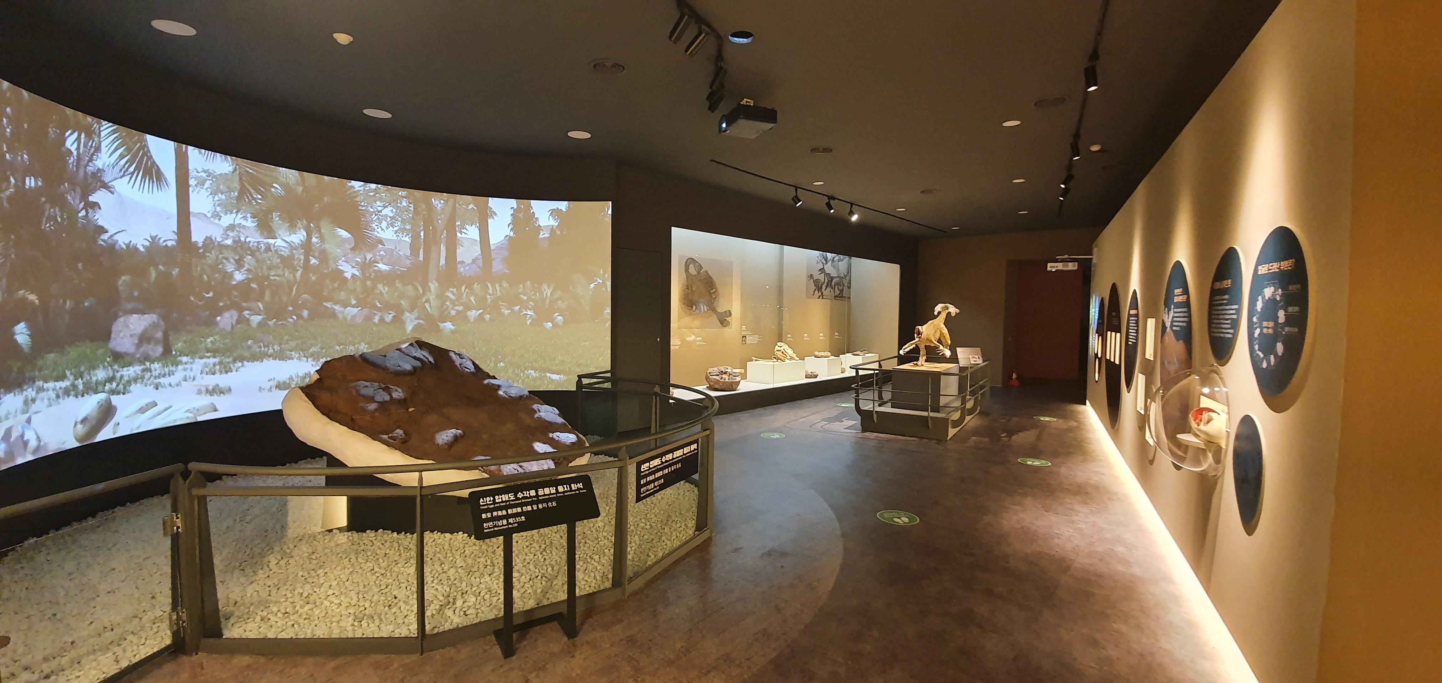 Exploring Earth&rsquo;s History Beginning with Dinosaur Eggs2