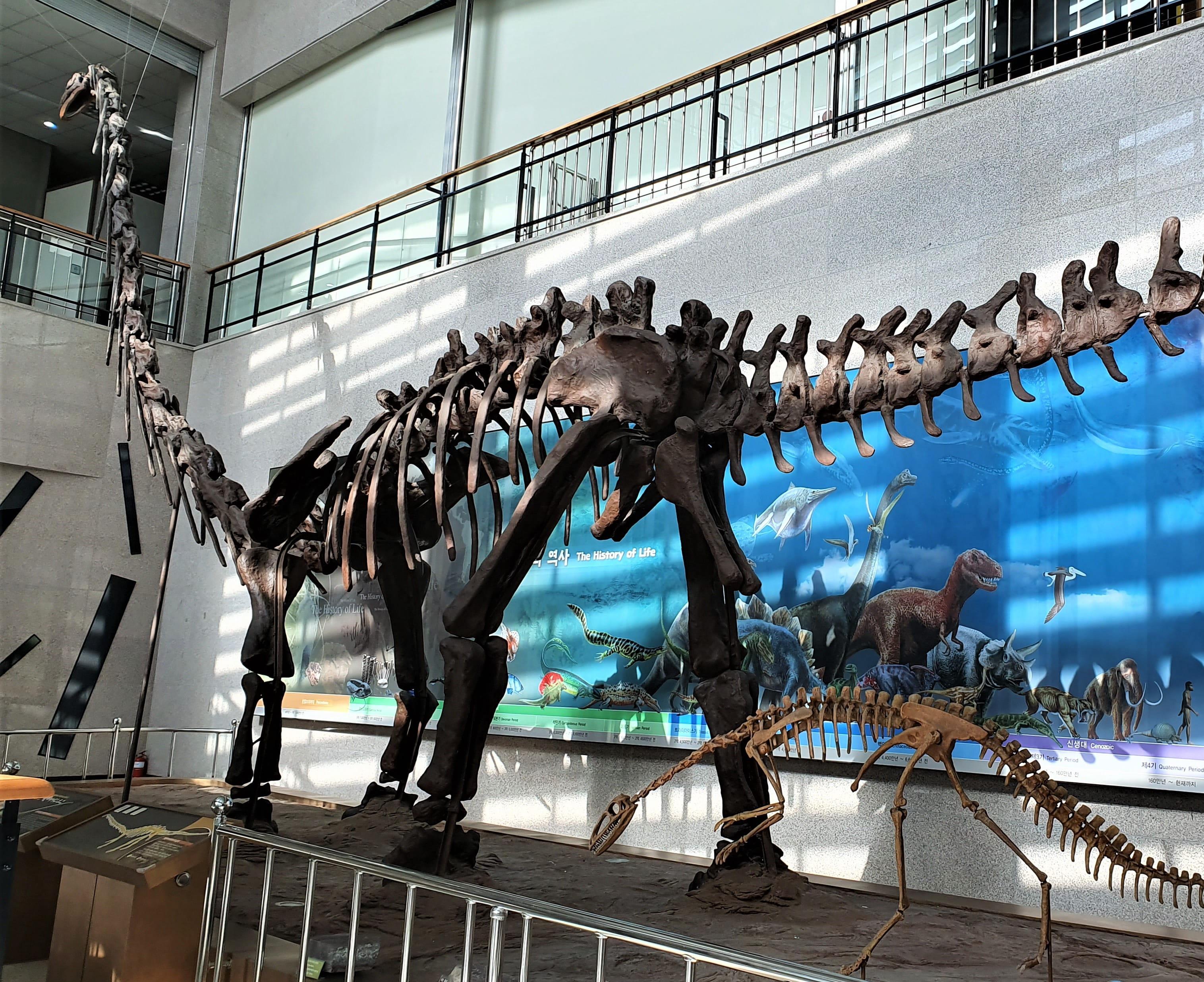 Coexistence of Birds and Sauropods2