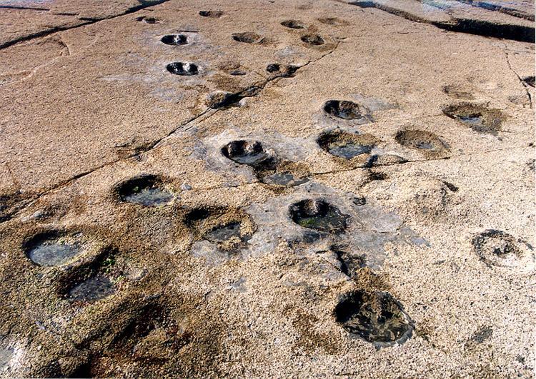 Land of Time: Traces of Sauropod and Ornithopod Dinosaurs Preserved in Sangjogam2