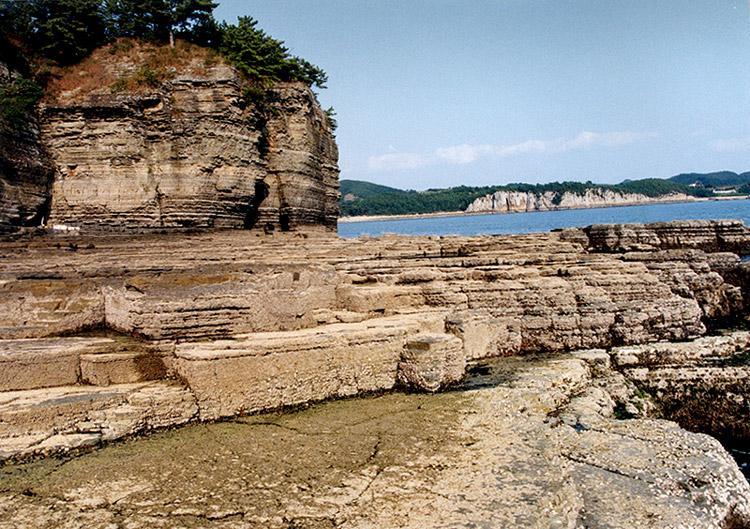 Land of Time: Traces of Sauropod and Ornithopod Dinosaurs Preserved in Sangjogam4