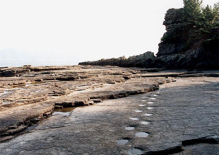 Land of Time: Traces of Sauropod and Ornithopod Dinosaurs Preserved in Sangjogam6