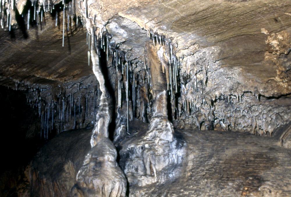 A Refuge from the Japanese Invasions of Korea and a 400-Million-Year Wonder2