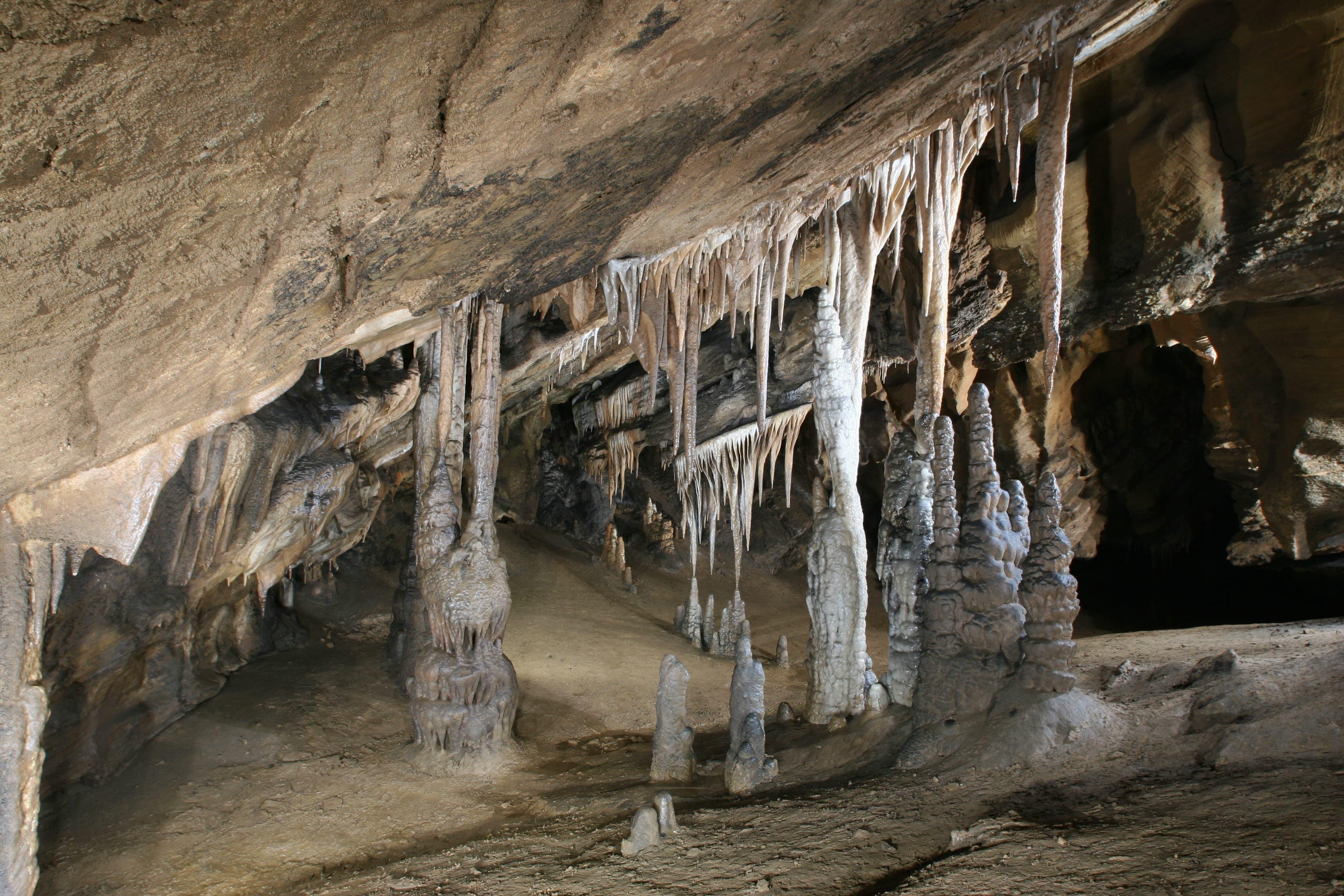 Korea&rsquo;s Only Adventure Cave Open to the Public6